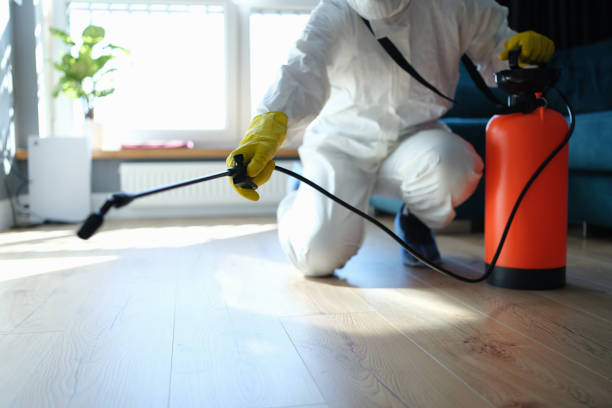 Best Wasp Removal Services  in Oquawka, IL