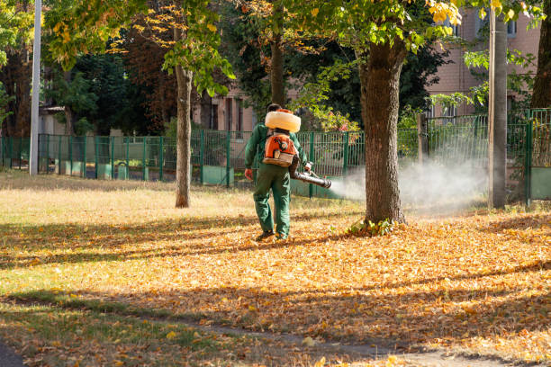 Pest Control Cost in Oquawka, IL